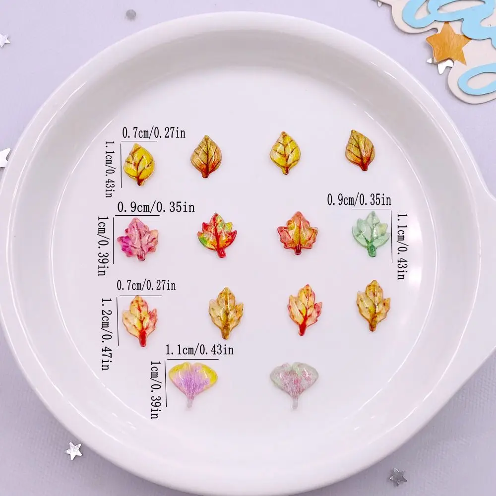 50 Uds. De Mini cristal de res - Paradise Jewelry & Watches Dolphin Mall reseña y precio